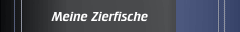 Meine Zierfische